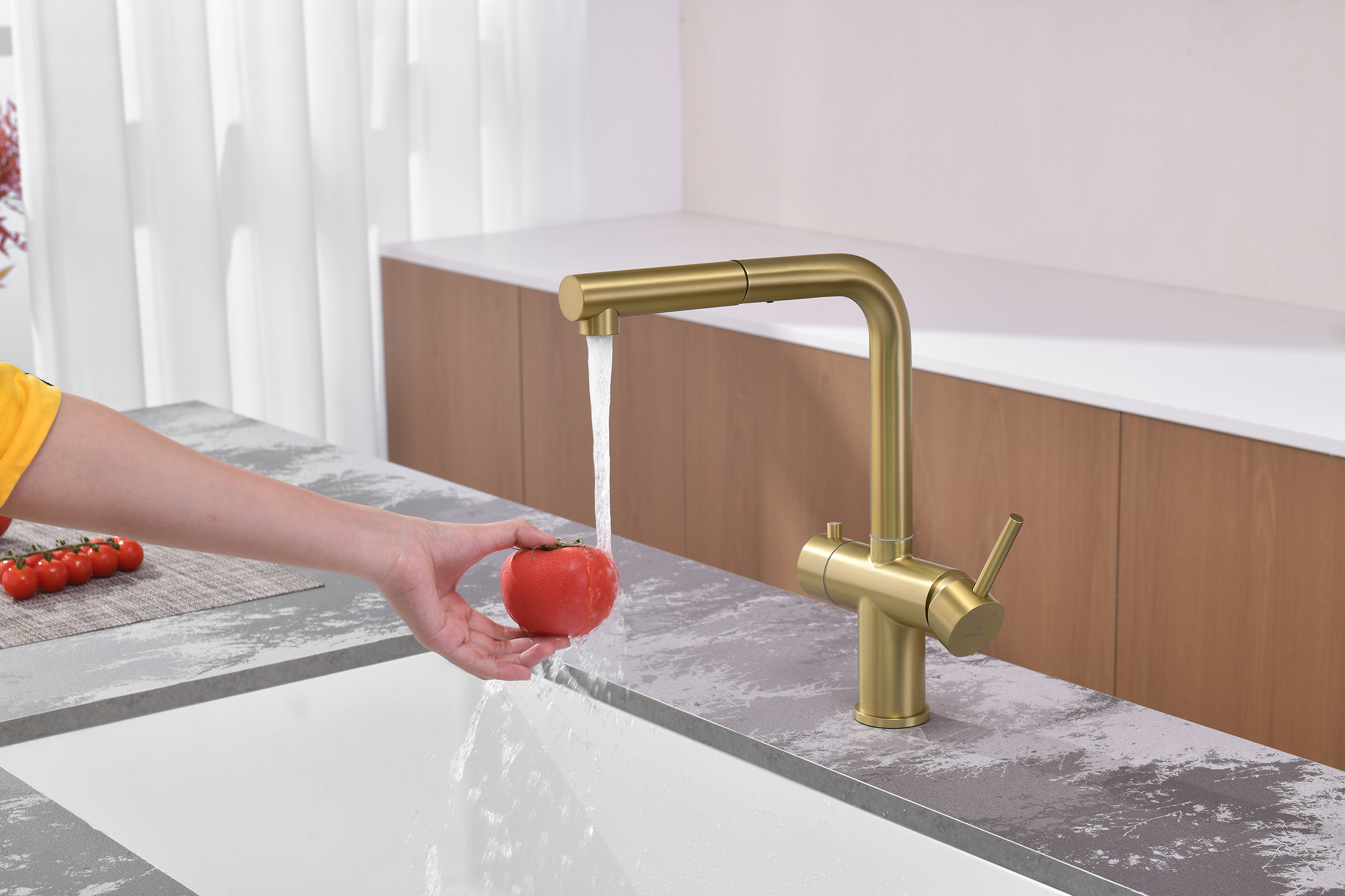 16036-S Смес. од. для кухни с ВЫД. лейкой и подк. ФИЛЬТ. (Мат. Золото)  GANZER (10/1шт)