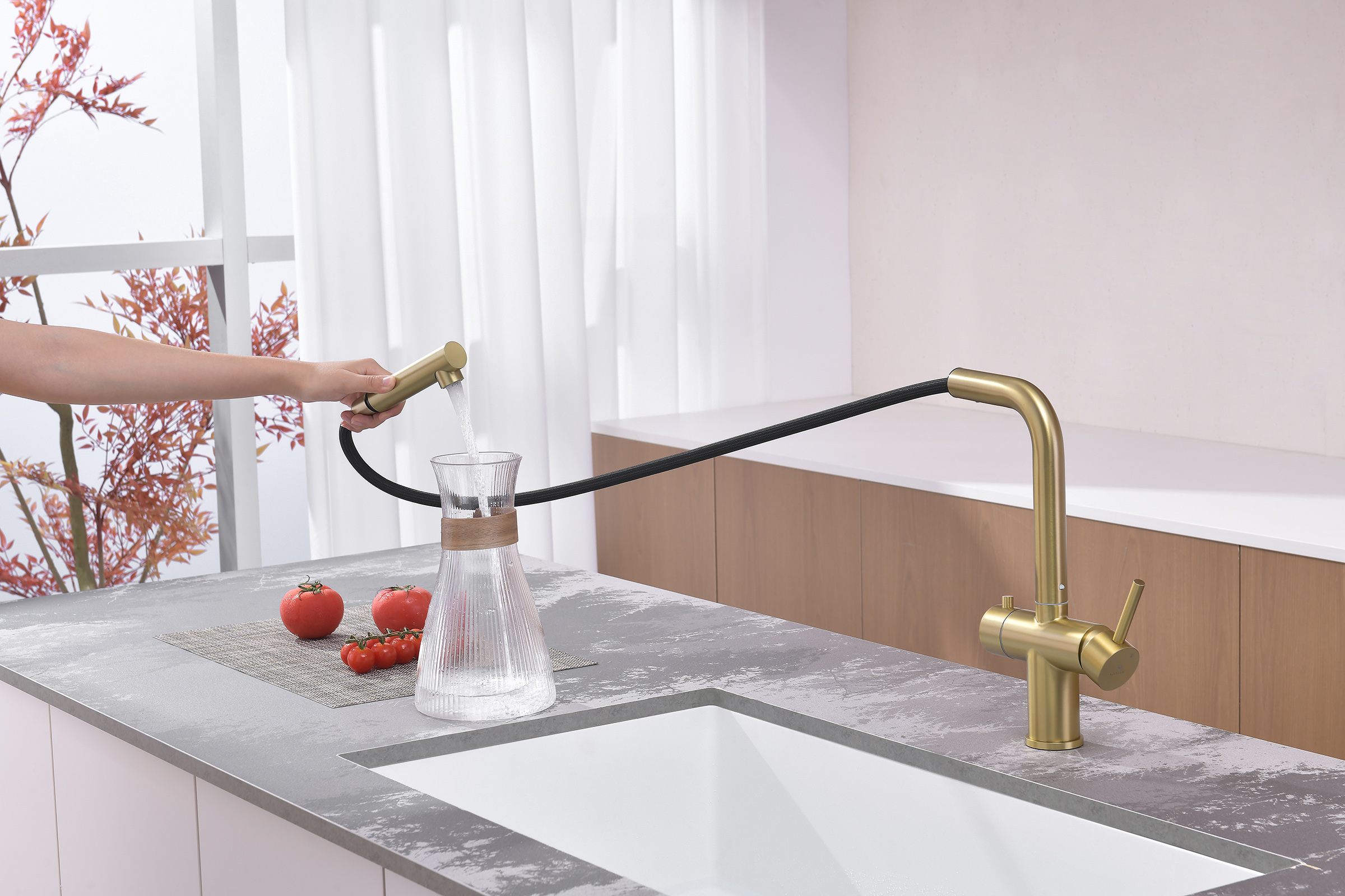 16036-S Смес. од. для кухни с ВЫД. лейкой и подк. ФИЛЬТ. (Мат. Золото)  GANZER (10/1шт)