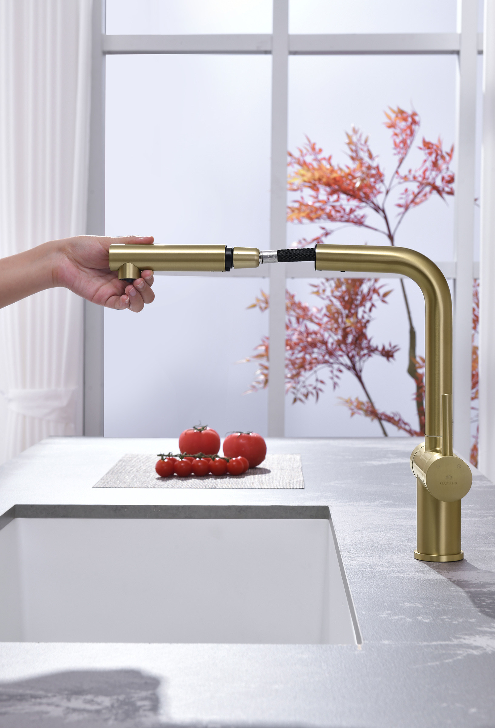 16036-S Смес. од. для кухни с ВЫД. лейкой и подк. ФИЛЬТ. (Мат. Золото)  GANZER (10/1шт)