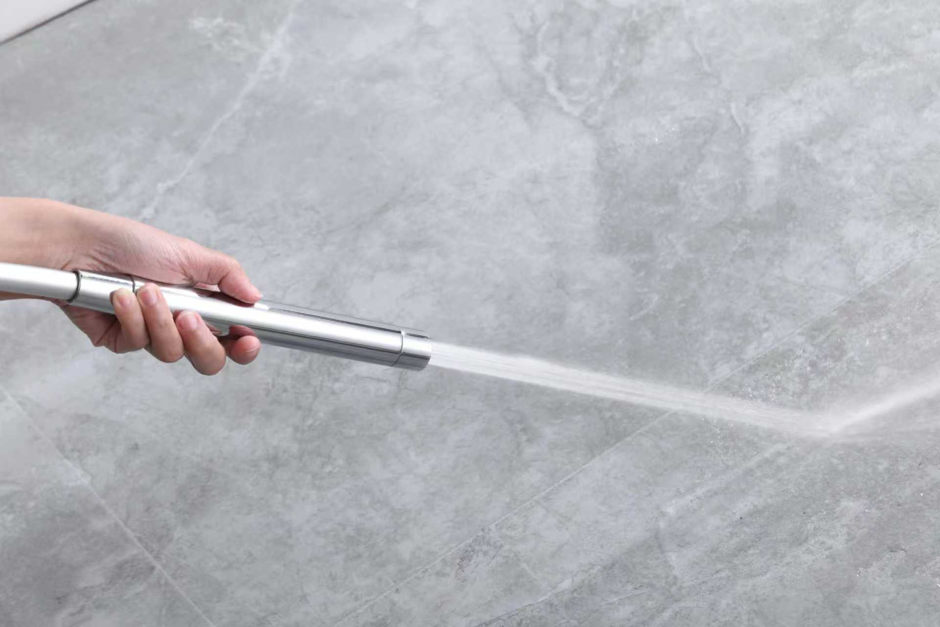 2001 Лейка для душа, 2 функции, трубчатый (ХРОМ) GANZER  (100/1шт)